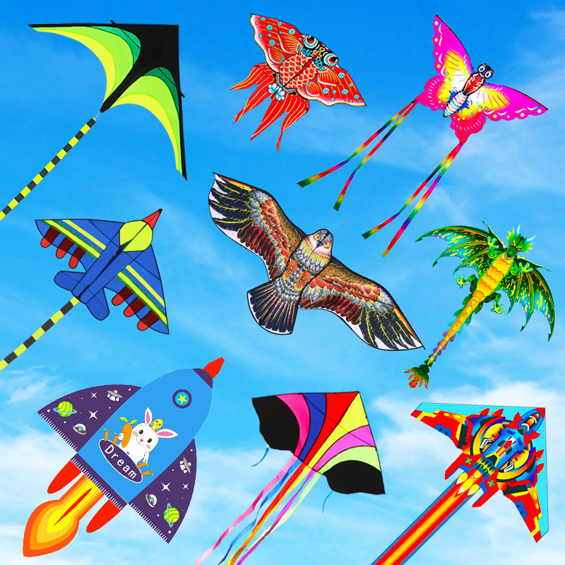 Assortment of colorful delta, shaped, bird and dragon kites