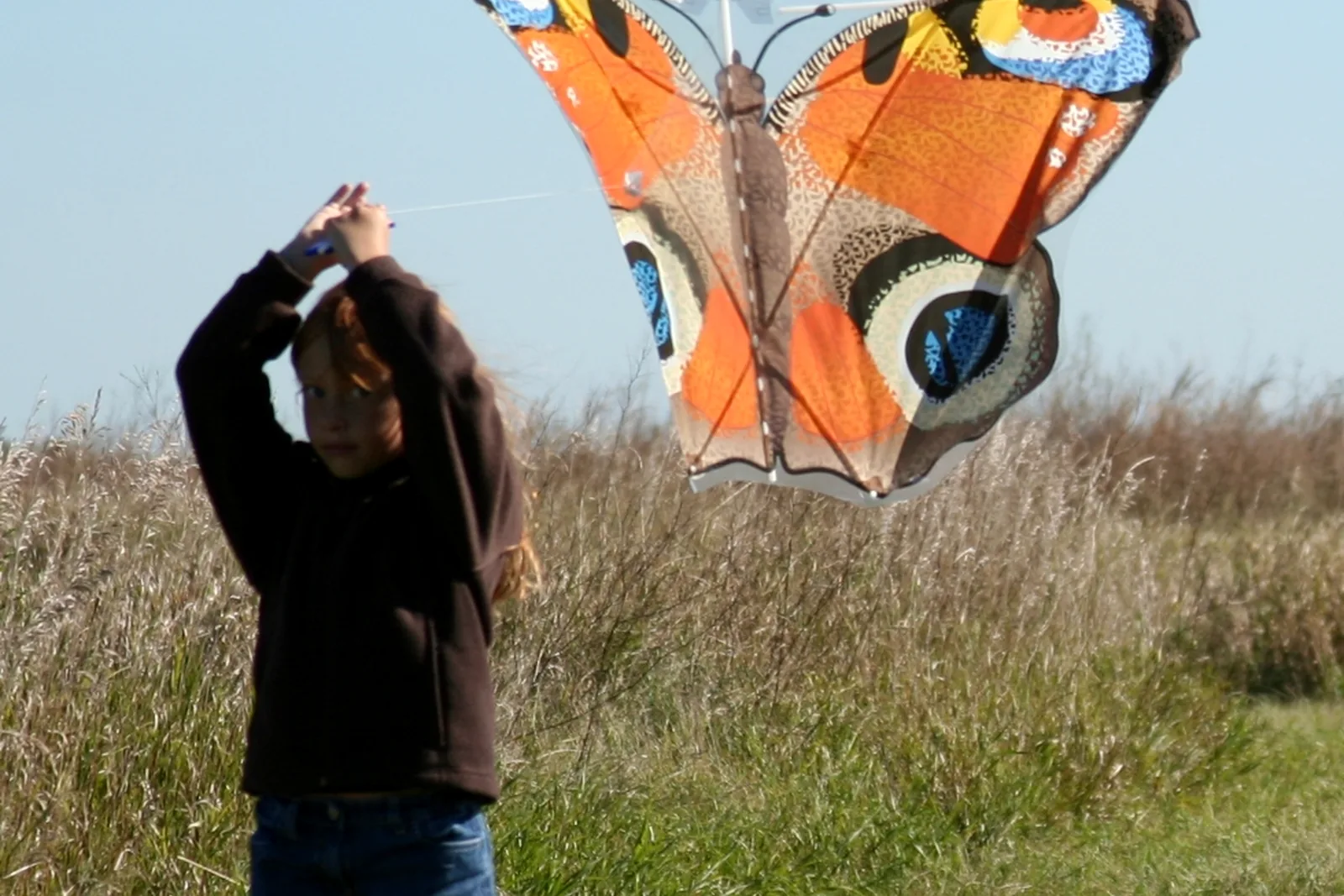 Child flying a colorful butterfly kite outdoors