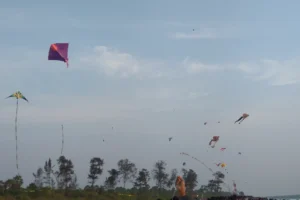 Real kite festival with many kites flying above a beach