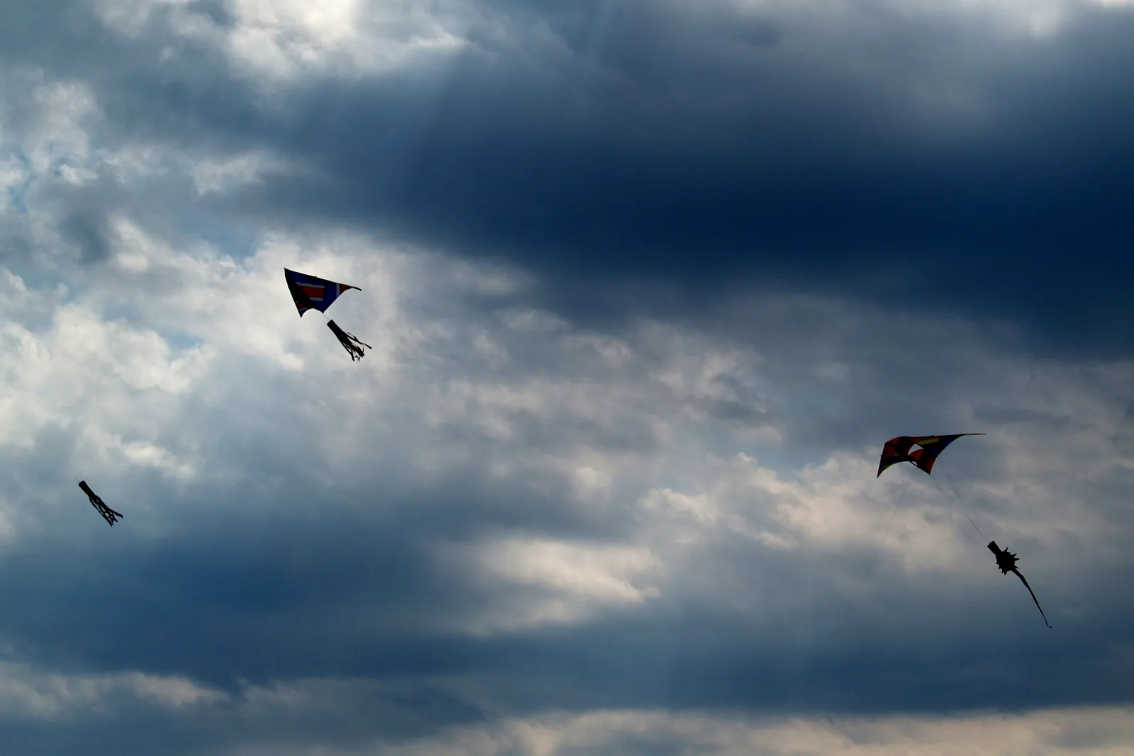 Several real kites flying beneath dramatic clouds